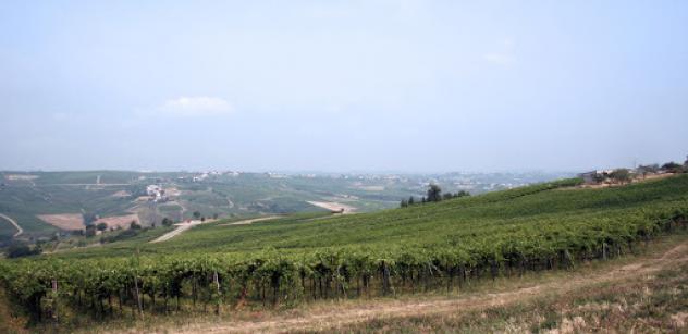 Terreno edificabile in vendita a Ziano Piacentino - Foto 2