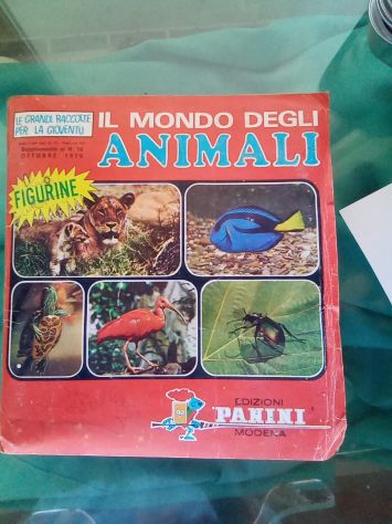 Album PANINI