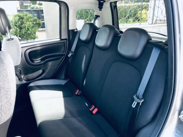 FIAT Panda 1.0 FireFly S&S Hybrid City Life rif. 23878042 - Foto 3