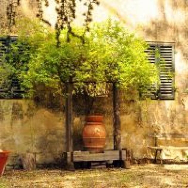 Casina di Cornia Societa' Agricola - Foto 3