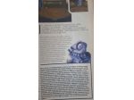 rivista playstation magazine ufficiale per videogiochi ps 1 ps1 resident evil