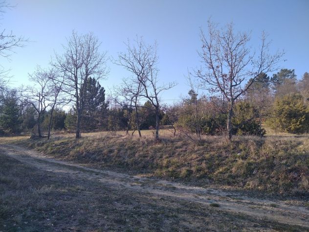 Terreno agricolo in Istria. - Foto 3