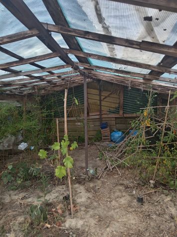 in un bel terreno di 1000 metri quadri affitto 200orto - Foto 3