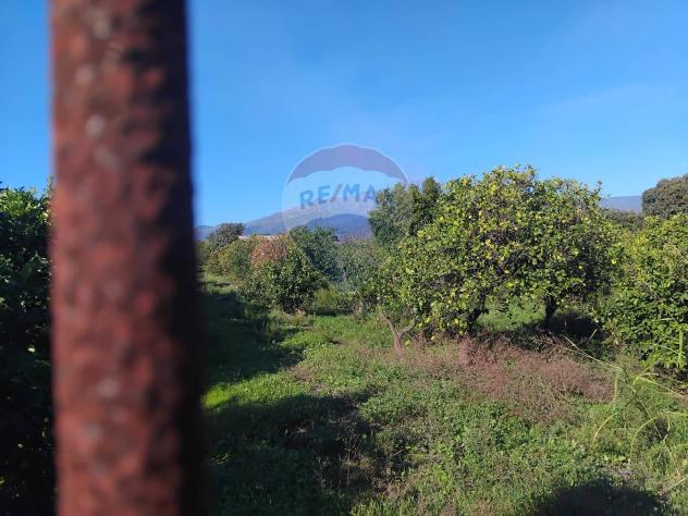 Terreno Industriale in vendita a Riposto - Foto 7