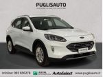 FORD Kuga 1.5 EcoBlue 120 CV aut. 2WD Titanium Business rif. 23841367