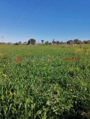 Terreno Agricolo - Reggio di Calabria . Rif.: Cod. rif 3312529VRG