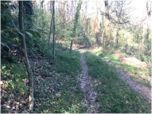 Immobile in asta di 4000 m² in vendita a Lipomo - Foto 3