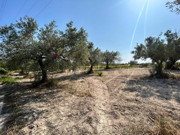 Terreno in vendita a Noto - Foto 6