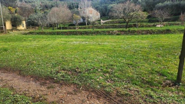 Terreno agricolo in vendita a San Giovanni Alla Vena - Vicopisano 2500 mq Rif: 1393231