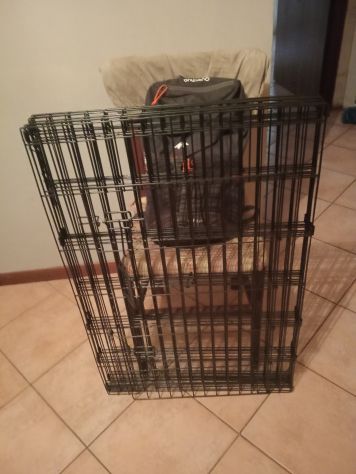 Vendo recinto per cani - Foto 2