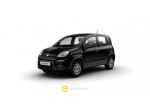 FIAT Panda 1.0 FireFly S&S Hybrid rif. 21123480
