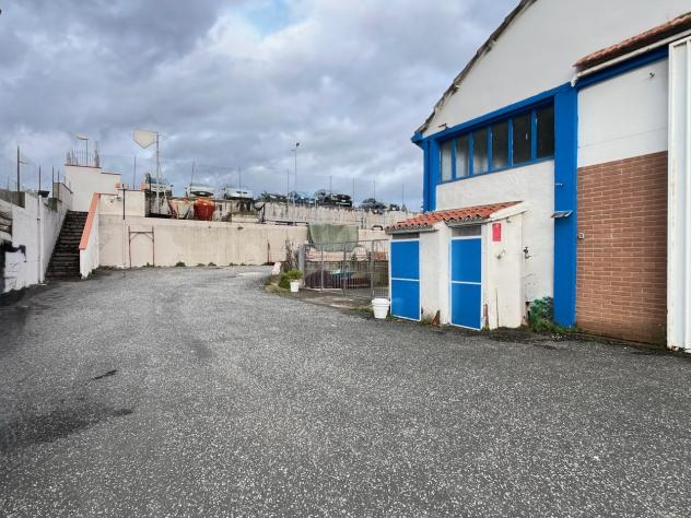 Industriale/Artigianale in vendita a Montescudaio - Foto 6