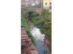 Fienile in vendita a Buti 204 mq  Rif: 1074812
