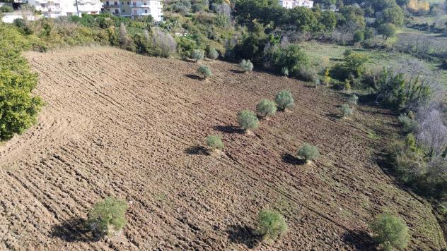 Agricolo in Via Fontanelle - Foto 9