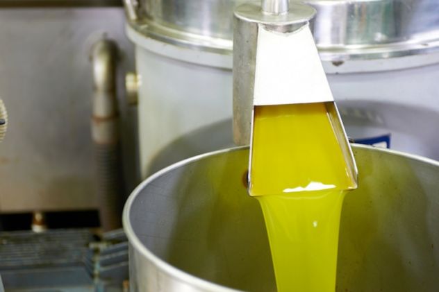 Olio d'oliva di origine pisciottana - Foto 2
