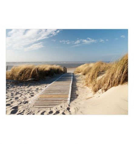 Fotomurale Adesivo Con La Passerella Sulla Spiaggia Arredalacasa - Foto 2