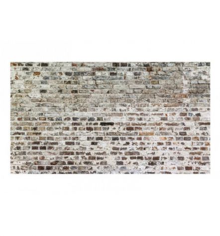 Fotomurale Adesivo Muro Grigio Cm. 490x280 ARREDALACASA - Foto 2