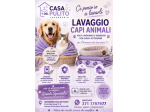 Lavaggio coperte , capi per animali