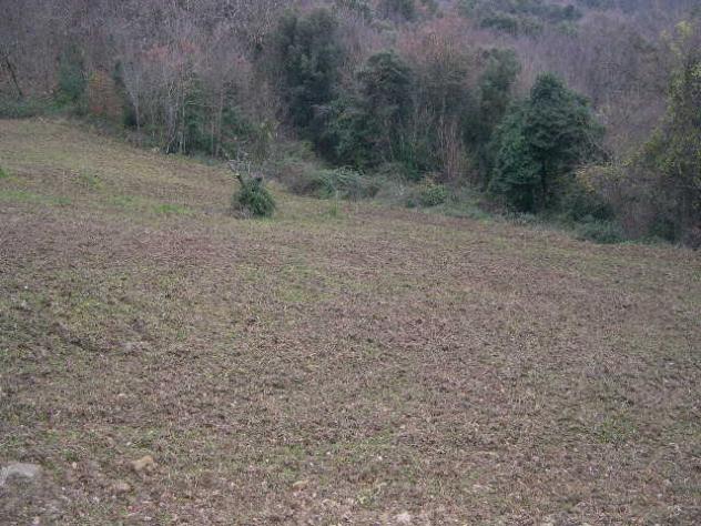 Casa singola in vendita a Sassa - Montecatini Val di Cecina 75 mq Rif: 219069 - Foto 6