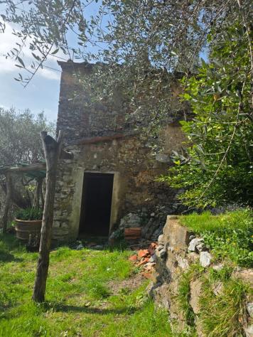 Rustico in vendita a Torcigliano - Camaiore 31 mq Rif: 1409772 - Foto 8