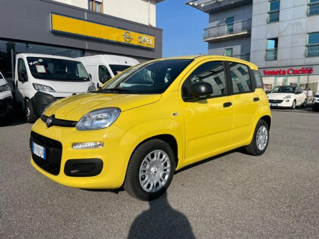 FIAT Pandina Pandina 1.0 FireFly 65 CV Hybrid Icon - Foto 2