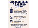 Studente Erasmus cerca monolocale o camera singola – Fisciano / dintorni
