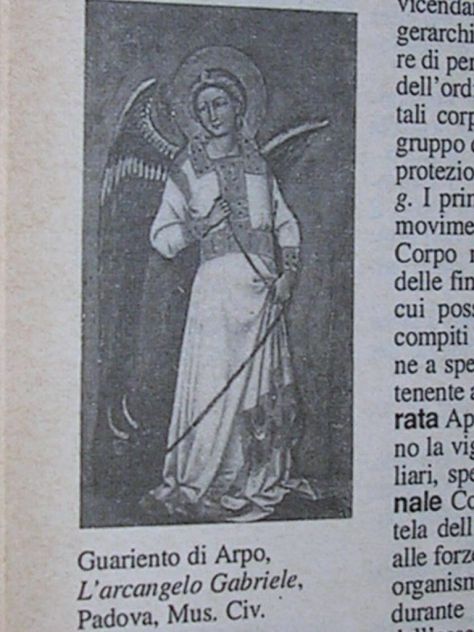 ENCICLOPEDIA ZANICHELLI - Foto 9
