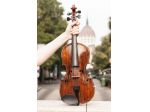 Violinista ad Alessandria e Tortona