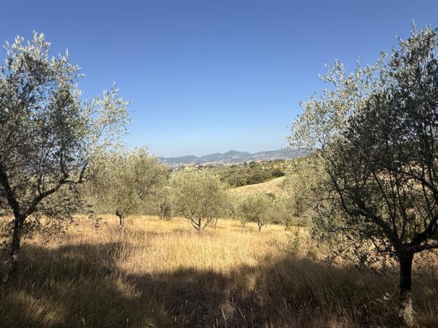 Agricolo in Vocabolo Cibottola - Foto 6