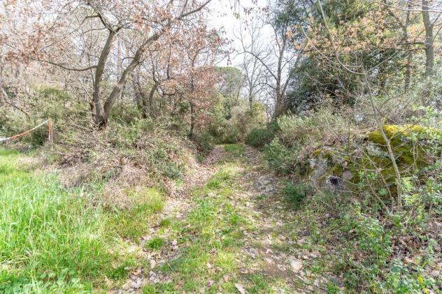 Terreno agricolo in vendita a Vitolini - Vinci 18450 mq Rif: 1399141 - Foto 3