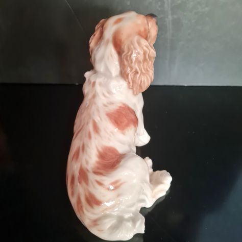 Cane porcellana di Meissen - Foto 3