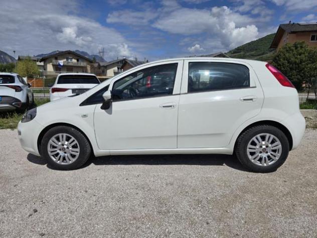FIAT Punto 1.3 MJT II S&S 95 CV 5 porte Street rif. 23536105 - Foto 3