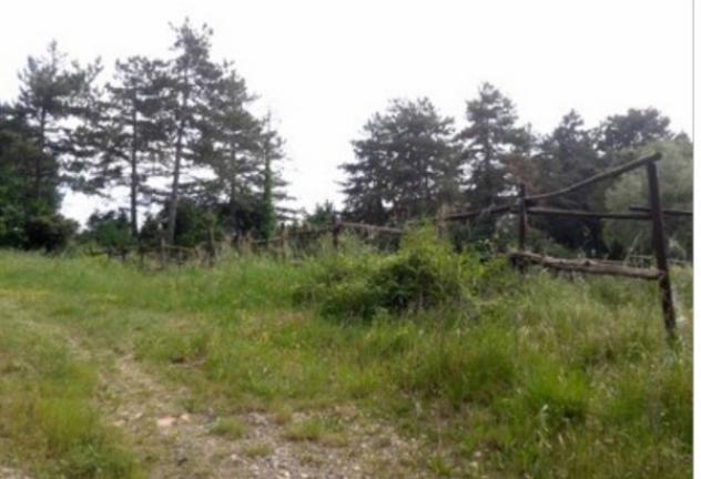 Immobile in asta di 213 m² in vendita a Montaione - Foto 10