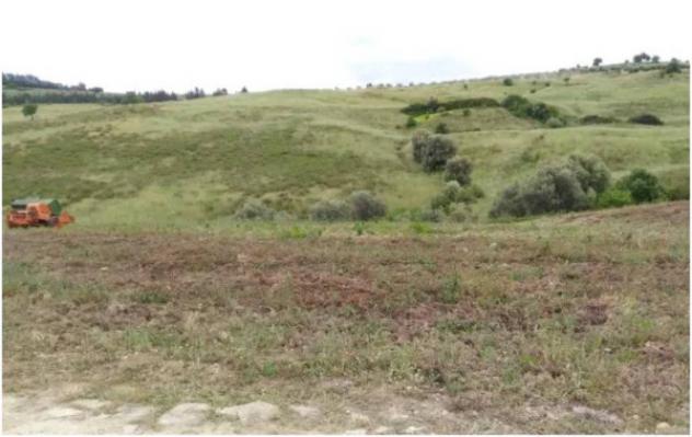 Immobile in asta di 216336 m² in vendita a Nova Siri - Foto 2
