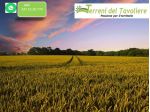 Seminativo agro di San Severo - località Via Montella