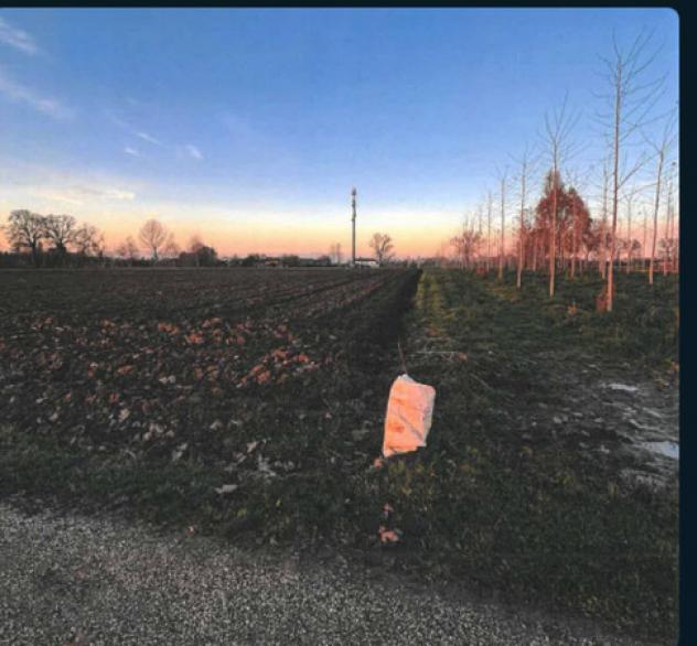 Immobile in asta di 4 m² in vendita a Santa Maria di Sala - Foto 3