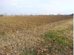 Terreno Agricolo - Sacile . Rif.: Sp3559064