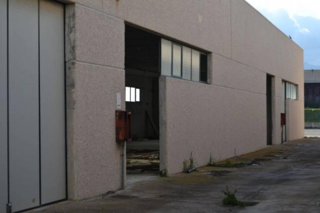 Immobile in asta di 15089 m² in vendita a Bolotana - Foto 5