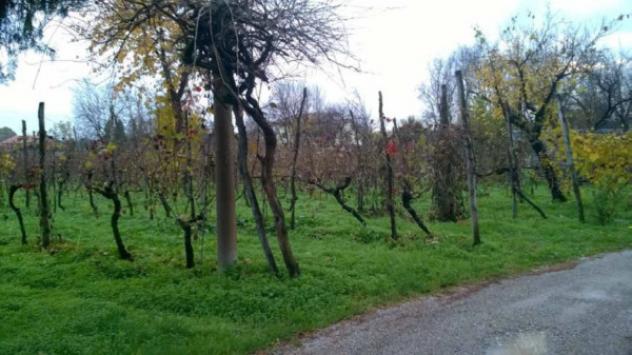 Immobile in asta di 282 m² con più di 5 locali in vendita a Vivaro - Foto 4