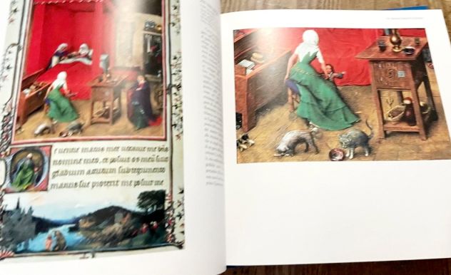 Gatti nell'arte. Edizione Illustrata di Stefano Zuffi Ed.Sassi, marzo 2007 - Foto 7