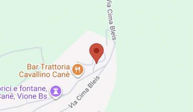 194/2025 4 BS - fabbricati e terreni in asta a Vione - Foto 2