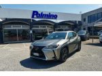 LEXUS UX Full Electric UX Hybrid 4WD Business rif. 23918310