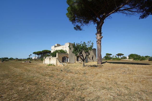 Masseria storica del 1800 - Foto 6