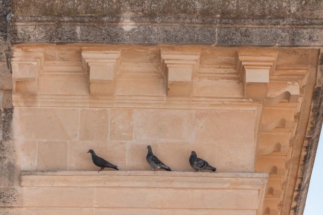 Indipendente in vendita a Lecce - Foto 11