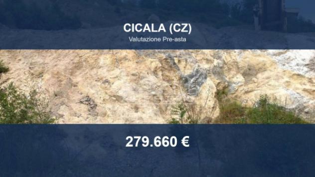 Immobile in asta di 36490 m² in vendita a Cicala