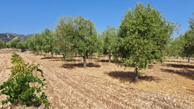 Terreno in vendita a Priolo Gargallo - Foto 2