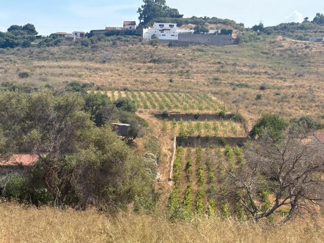 Terreno Agricolo - Messina . Rif.: Cod. rif 3325955VCG