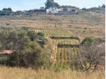 Terreno Agricolo - Messina . Rif.: Cod. rif 3325955VCG