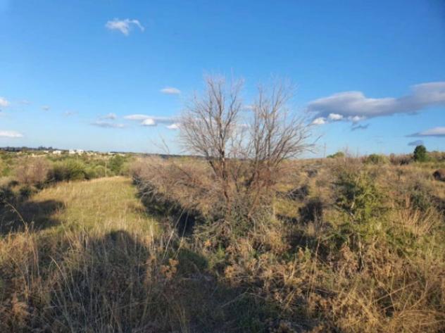 Immobile in asta di 37140 m² in vendita a Carlentini - Foto 4