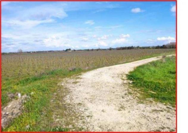 Immobile in asta di 415142 m² in vendita a Galatina - Foto 8